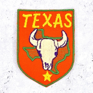 Op de afbeelding: Een schildvormige geborduurde patch met een oranje achtergrond en een groene rand. Het toont het woord TEXAS in gele letters boven een witte schedel van een stier, gecentreerd over een groene kaart van Texas, met een gele ster onderaan.