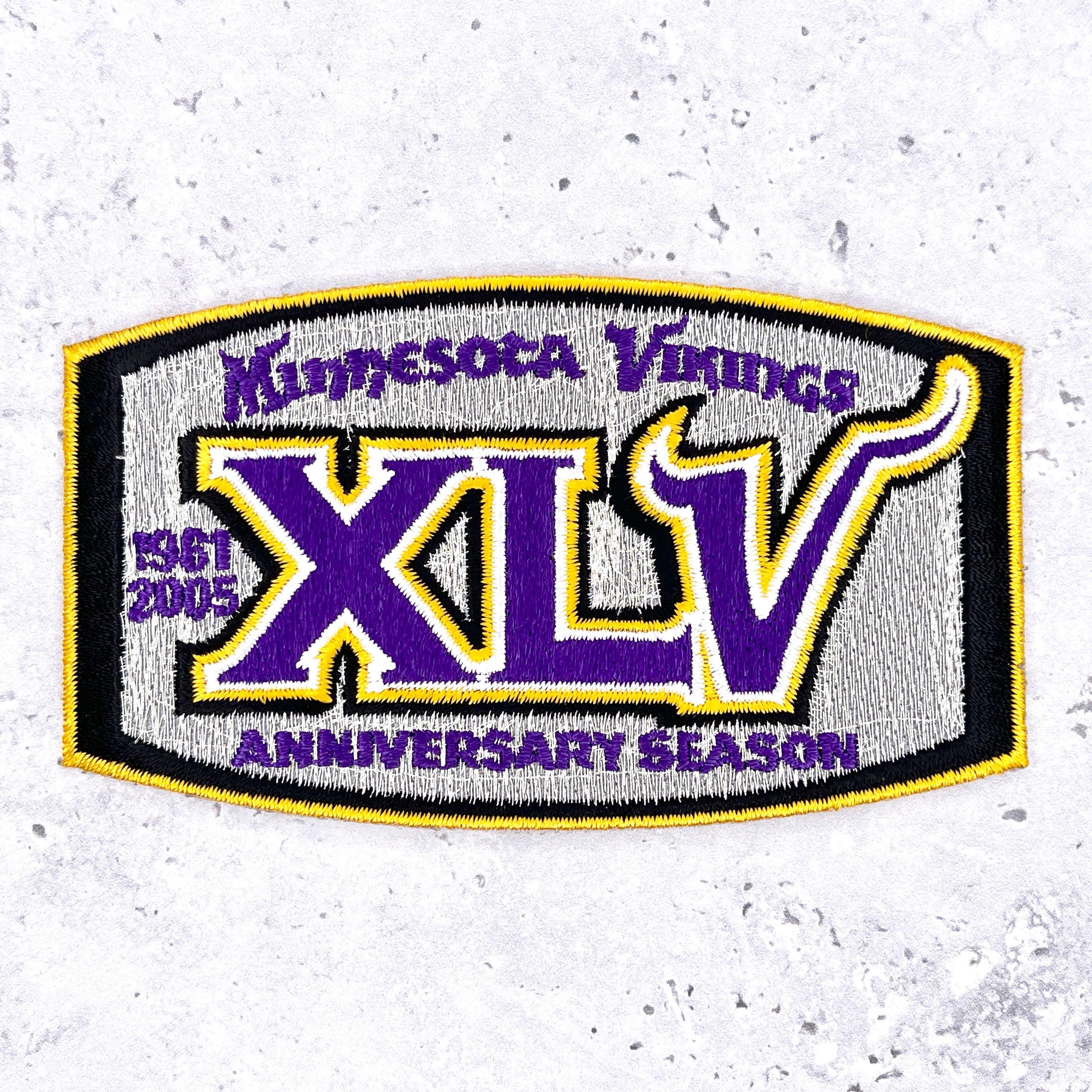 2) MINNESOTA VIKINGS FERRO RICAMATO SU TOPPE 3,5""x2