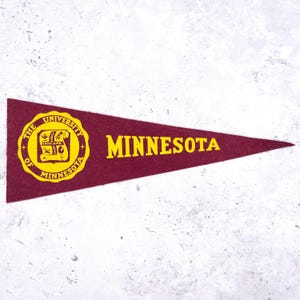Vintage Minnesota Gophers Mini Pennant • 60s Felt University Dorm Decor • 9.5" x 3.5"