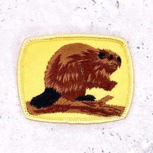 May include: Embroidered patch featuring a brown beaver with a black tail and details, sitting on a branch. The beaver is set against a yellow background with a stitched border. The patch is square with rounded corners.