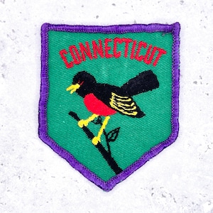 Puede incluir: Un parche verde con borde morado con la palabra "CONNECTICUT" en rojo. Un pájaro negro y rojo con detalles amarillos se posa en una rama. El parche es probablemente un recuerdo o emblema estatal.