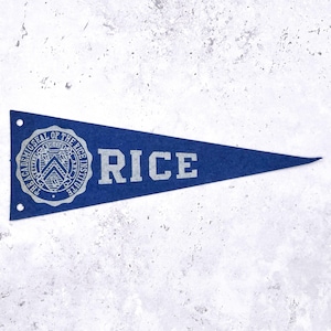 Vintage Rice University Mini Pennant • 60s Felt NCAA Dorm Decor • 3.25" x 9"