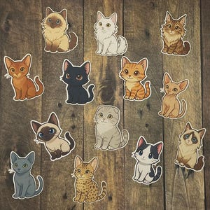 Katzenaufkleber | Gestanzte Premium wasserdichte Vinyl-Aufkleber | Niedliche Cartoon Katzen | Perfekt für Laptops, Journals, Scrapbooks & Wasserflaschen