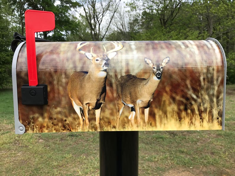 Deer Mailbox Etsy