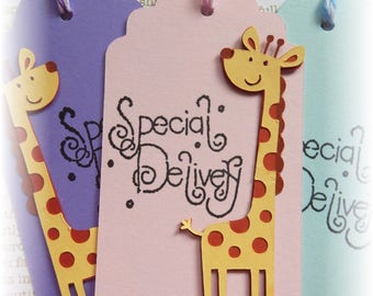 Baby Tags - Giraffe Tags - Special Delivery - Gift/Hang tags (10)