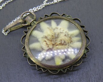 Collier à pendentif médaillon en edelweiss antique en livres sterling avec chaîne de 46 cm, médaillon transparent