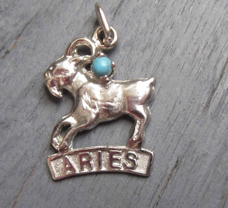 Sterling Silver Astrology Charm Aries Ram Charm Horoscope Charm for Charm Bracelets Aries Zodiac Charm