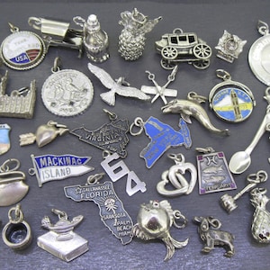 May include: A collection of silver-toned charms in various shapes, including a pineapple, a carriage, and state outlines. Some charms feature enamel details and text, such as "Mackinac Island" and "USA".
