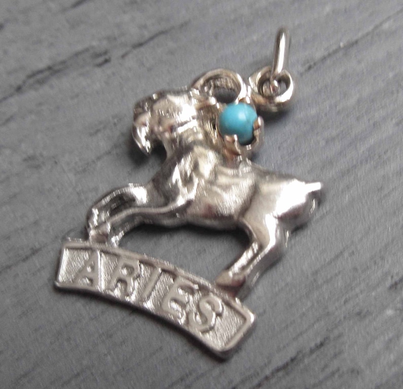 Sterling Silver Astrology Charm Aries Ram Charm Horoscope Charm for Charm Bracelets Aries Zodiac Charm