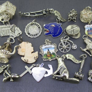 May include: A collection of silver charm pendants featuring various designs, including a house, a map of Canada, a teapot, a woman's head, a cross, a heart, an anchor, a wolf, a bird, a hammer, a bicycle, a hat, a panther, a building, and a banner with the word "Alaska".
