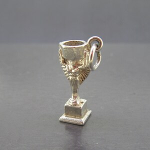 Pu&ograve; includere: Un piccolo ciondolo a forma di trofeo argentato con un design dettagliato. Il trofeo presenta una parte superiore a forma di coppa, una base decorativa e un anello per l'attacco. Il ciondolo &egrave; probabilmente in metallo e si staglia su uno sfondo scuro.