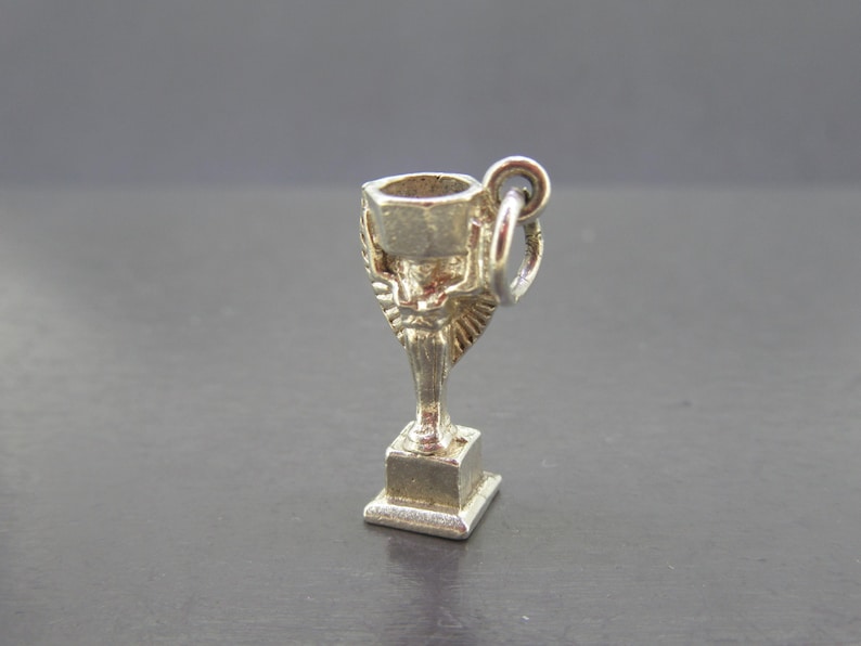 Pu&ograve; includere: Un piccolo ciondolo a forma di trofeo argentato con un design dettagliato. Il trofeo presenta una parte superiore a forma di coppa, una base decorativa e un anello per l'attacco. Il ciondolo &egrave; probabilmente in metallo e si staglia su uno sfondo scuro.