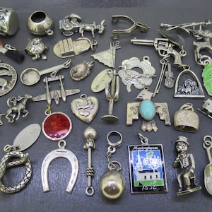 Puede incluir: Una colección de dijes de metal plateado con formas variadas que incluyen una herradura, una serpiente, una campana, un cactus, una pistola, un corazón, una pala, un pájaro, una tortuga, un tambor y un colgante rectangular con una ilustración de una iglesia.
