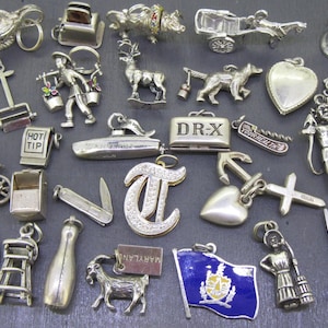 May include: A collection of silver-toned charms in various shapes, including animals, objects, and symbols. The charms include a bicycle, a cat, a heart, a flag, and a miniature suitcase with the text "DR-X".