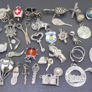 May include: A collection of silver-toned charms and pendants, including a butterfly, a ladybug, a camera, a hot air balloon, and a miniature Eiffel Tower. Other charms include a tennis racket, a turtle, and a Swiss cross.