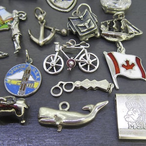Pu&ograve; includere: Una collezione di ciondoli argentati, tra cui una bicicletta, una bandiera canadese, una balena e un ciondolo con la scritta "Spokane U.S.A.". Altri ciondoli raffigurano figure e oggetti. I ciondoli sono progettati per la creazione di gioielli.