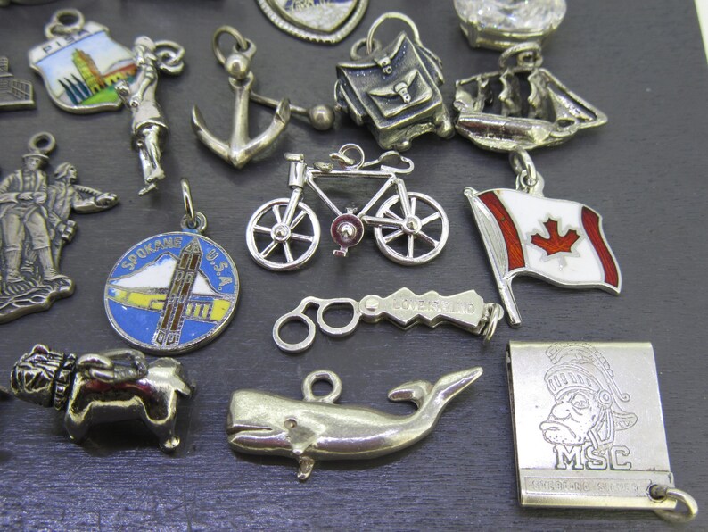 Pu&ograve; includere: Una collezione di ciondoli argentati, tra cui una bicicletta, una bandiera canadese, una balena e un ciondolo con la scritta "Spokane U.S.A.". Altri ciondoli raffigurano figure e oggetti. I ciondoli sono progettati per la creazione di gioielli.