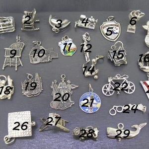 Pu&ograve; includere: Una collezione di piccoli ciondoli argentati, ognuno con un design unico. I ciondoli includono una sedia a dondolo, un cuore, uno scudo, una bicicletta, una bandiera e altro ancora. Questi ciondoli sono probabilmente per un braccialetto o una collana.