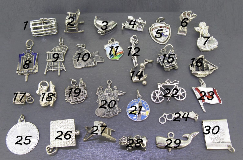 Pu&ograve; includere: Una collezione di piccoli ciondoli argentati, ognuno con un design unico. I ciondoli includono una sedia a dondolo, un cuore, uno scudo, una bicicletta, una bandiera e altro ancora. Questi ciondoli sono probabilmente per un braccialetto o una collana.
