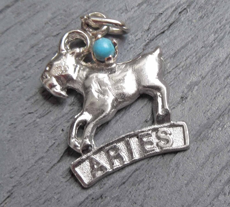 Sterling Silver Astrology Charm Aries Ram Charm Horoscope Charm for Charm Bracelets Aries Zodiac Charm