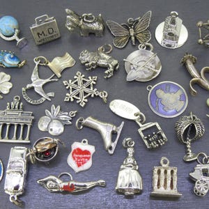 May include: A selection of silver charms in diverse forms, such as a butterfly, a snowflake, a four-leaf clover, and a miniature Berlin Gate. Other charms depict a fish, a globe, and a swimmer. These charms are likely for a bracelet or necklace.