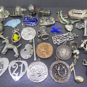 Può includere: Una collezione di vari ciondoli in metallo color argento che includono forme di animali, stati, note musicali, un penny del 1960, un medaglione di laurea, uno scorpione, un golfista e ciondoli a forma di cuore con testo come Happy Birthday e 21.