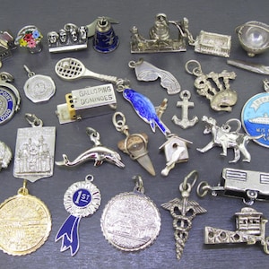 May include: A collection of vintage silver charms and pendants, including a tennis racket, a blue parrot, a dog, a dolphin, a trailer, and a medal with a blue ribbon. The charms are of various shapes and sizes.