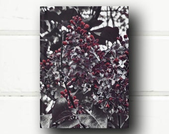 Black, Red & White Floral Journal - Hardcover Notebook with Lined Pages for Daily Writing, Ideal Writer's Gift for Creativity and Reflection
