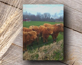 Highland Cow Hardcover Journal - Rustic Lined Notebook for Writing & Notes - Charming Country Diary Gift