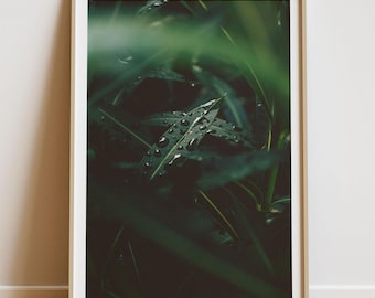 Raindrop Leaf Print: Nature Photography Wall Art (Digital Download)