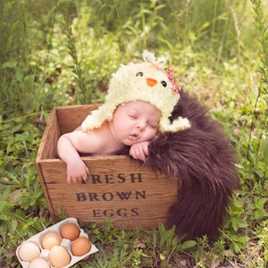Baby Chick Hat PDF Crochet Pattern image 2
