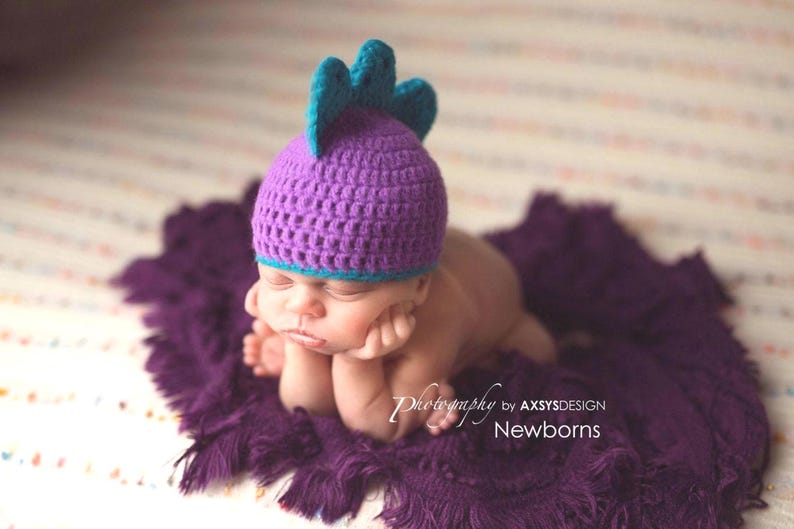 May include: A newborn baby wearing a purple crocheted hat with teal accents, resting on a matching purple blanket. The hat has a spiky design. The image is labeled "Newborns" and "Photography by AXSYSDESIGN".