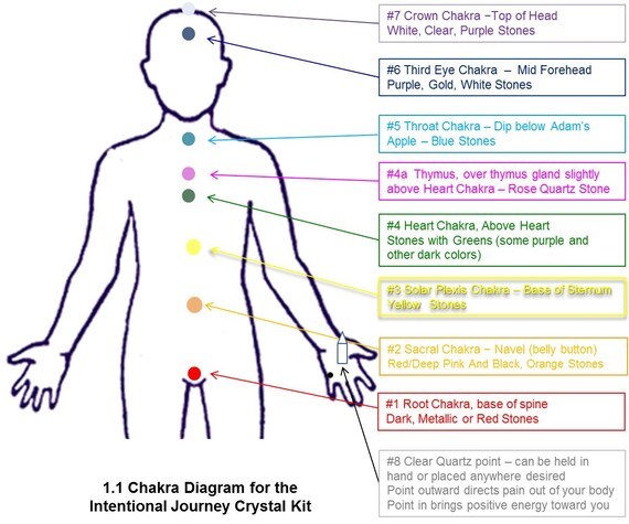 Chakra Organ Chart