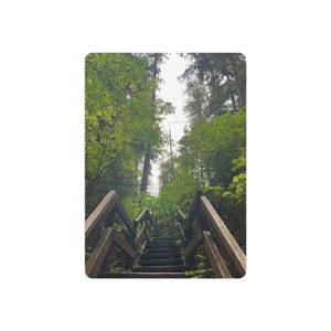 Señal de metal para caminar en el bosque