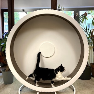 Silence Cat exercise wheel, Cat toy, Cat training, Cat workout, Cat Running wheel