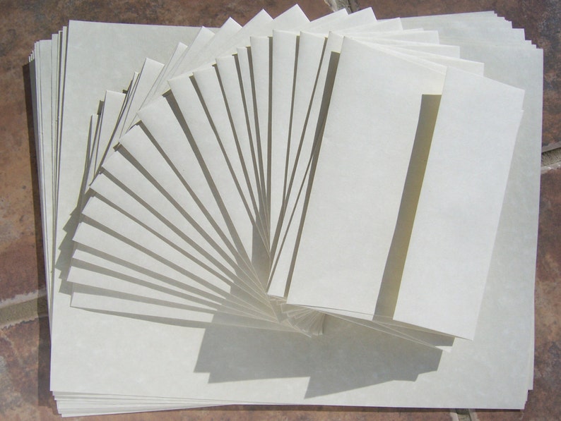 May include: A stack of white envelopes, fanned out in a semi-circle, with the top envelope folded in half. The envelopes are all the same size and are made of a smooth, white paper.