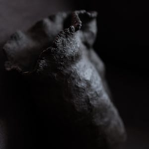 Puede incluir: Una escultura abstracta oscura y texturizada con una superficie rugosa e irregular. El objeto tiene una forma curva con un borde dentado y parece estar hecho de un material oscuro, posiblemente metálico. La iluminación crea sombras profundas, enfatizando la textura.