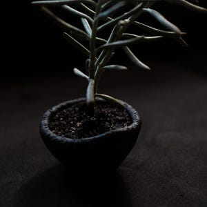 Plato de cerámica negra hecho de arcilla cruda