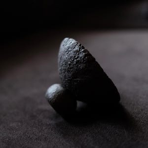 Puede incluir: Dos objetos oscuros de forma orgánica y texturizada. Uno es más grande y triangular, el otro más pequeño y redondo. Los objetos están sobre un fondo gris oscuro, con una iluminación suave que crea sombras.