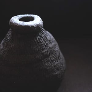 Puede incluir: Un jarrón de cerámica oscuro y texturizado con una abertura circular estrecha. El jarrón tiene una apariencia rugosa y orgánica, con crestas visibles y un acabado mate. La abertura es de un color más claro, contrastando con el cuerpo oscuro del jarrón.