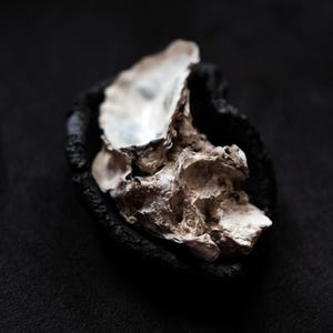 Plato de cerámica negra hecho de arcilla cruda con conchas marinas silvestres