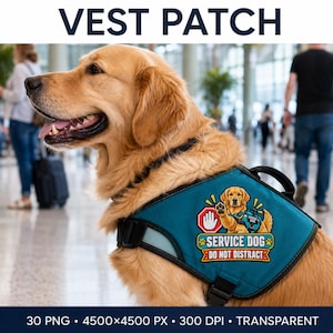 Può includere: Un golden retriever che indossa un gilet per cani da assistenza color verde acqua. Il gilet presenta una toppa con l'illustrazione di un golden retriever, un'icona di stop rossa con una mano bianca e il testo "SERVICE DOG DO NOT DISTRACT" in giallo e bianco.