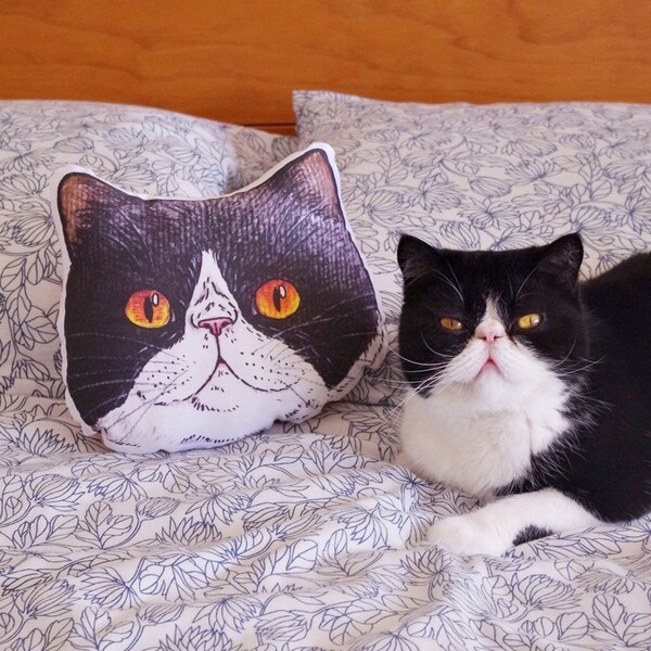 Panko the cat small face illustration cushion