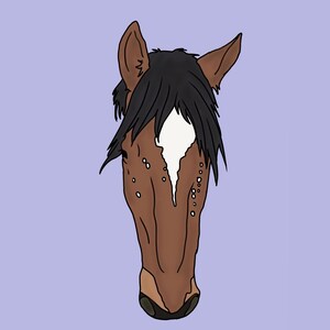 Horse Custom Artwork
