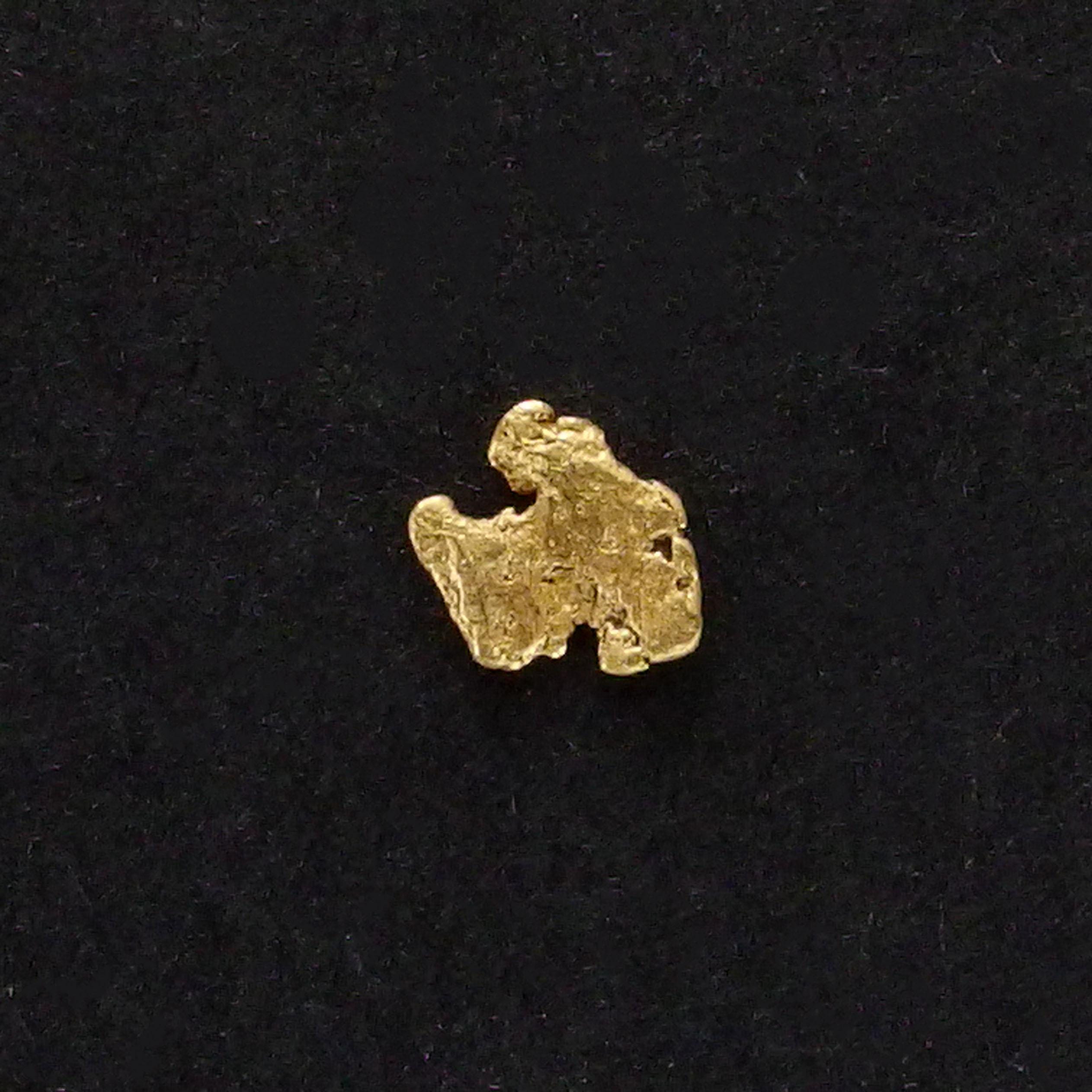 天然アラスカ産金塊 – 0.23グラム アラスカ産本物の砂金 - (N) - Etsy 日本