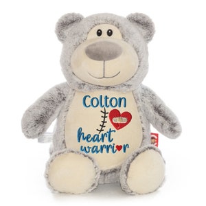 Personalized Stuffed Animal, CHD Animal, Personalized Heart Warrior, Scar buddy gift