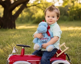 Personalized Stuffed Animal, New Big Brother Baby Shower Gift