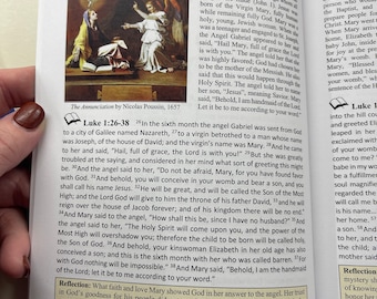 Pray the Rosary Book with Full Color pictures and Meditations for Praying Prayer Book Catholic Prayer Book include The Fatima Story