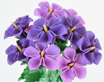 Bouquet of 10 Little African Violets, Valentine's Day Gift, Mother's Day Gift