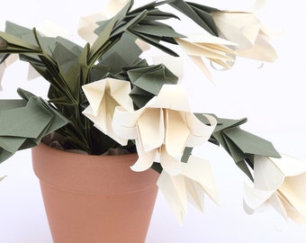 Paper Cream White Christmas Cactus, Holiday Cacti, Thanksgiving Cacti, Easter Cacti